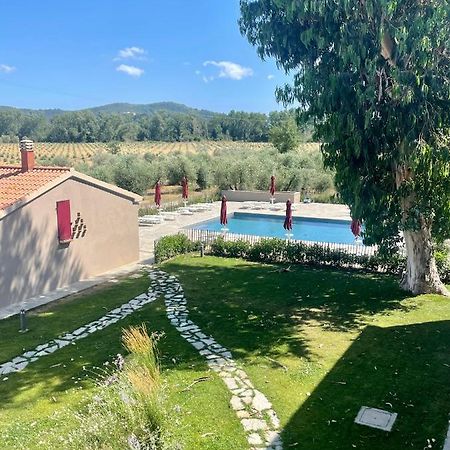 Terravita Winery & Boutique Apartments Suvereto Buitenkant foto