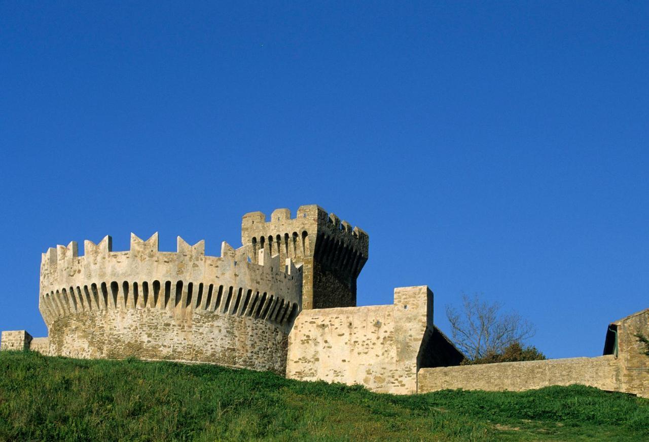 Terravita Winery & Boutique Apartments Suvereto Buitenkant foto