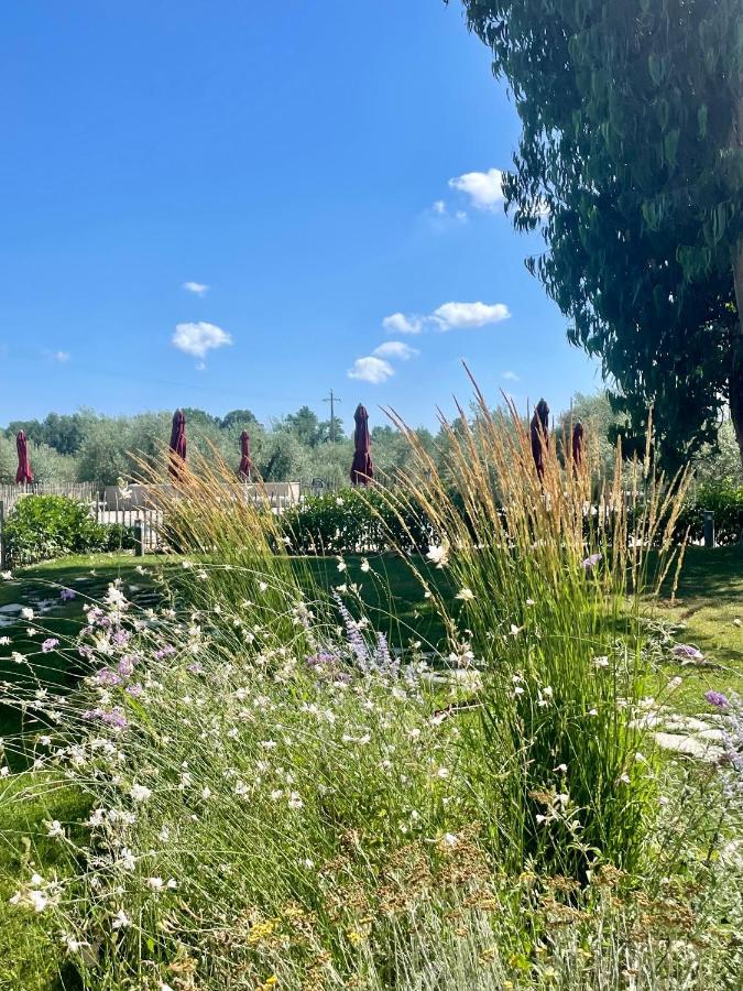 Terravita Winery & Boutique Apartments Suvereto Buitenkant foto