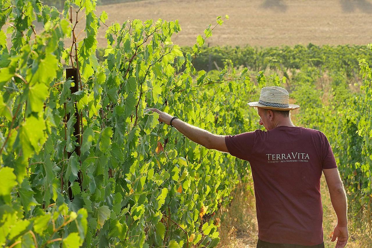 Terravita Winery & Boutique Apartments Suvereto Buitenkant foto
