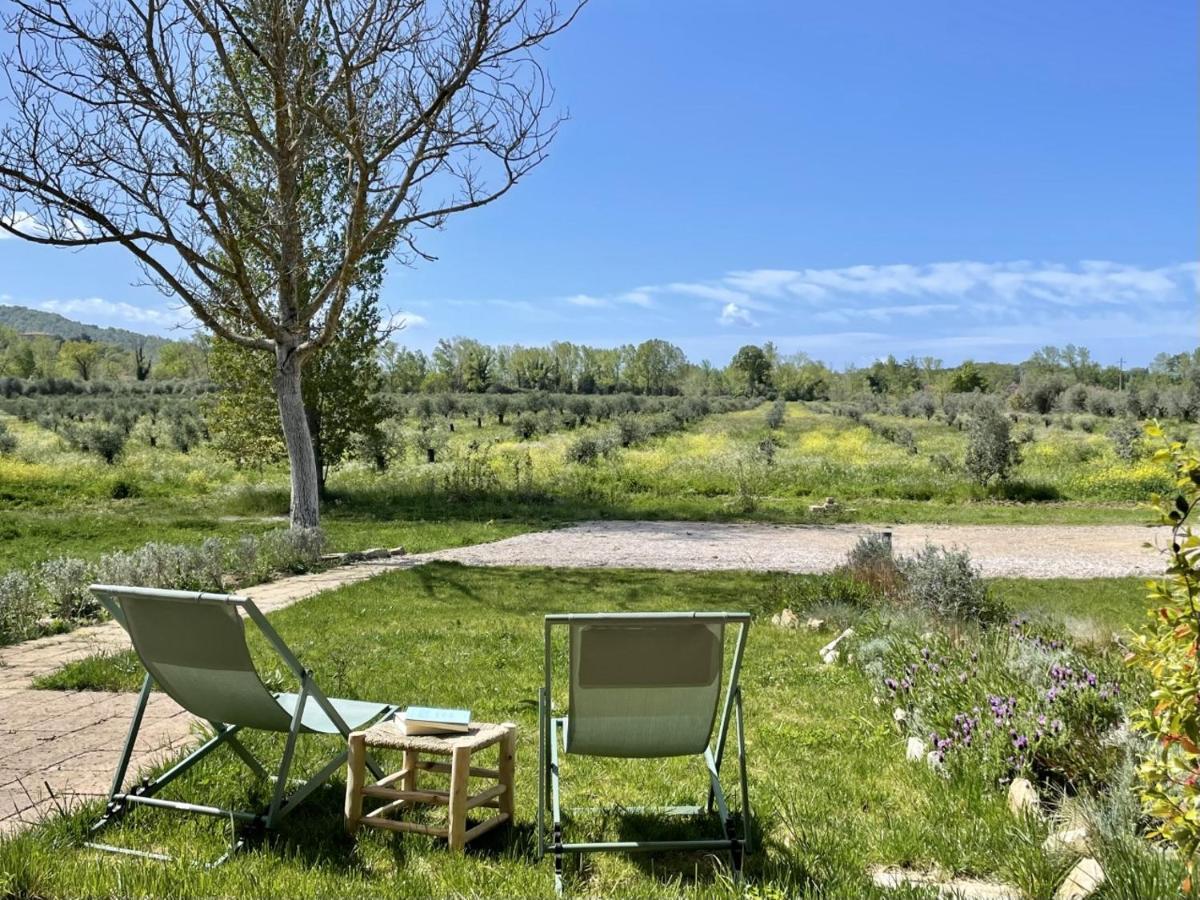 Terravita Winery & Boutique Apartments Suvereto Buitenkant foto