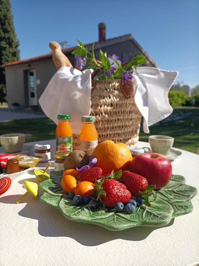 Terravita Winery & Boutique Apartments Suvereto Buitenkant foto